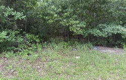 0000 Larkin Drive, Orangeburg, SC 29115