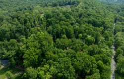 1672 HOLLOW ROAD, CHESTER SPRINGS, PA 19425