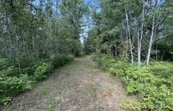 Emils Landing Road, Hillman, MI 49746