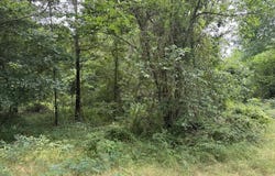 000 45030, Powderly, TX 75473