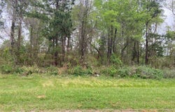 N/A Blue Springs, Bainbridge, GA 39819
