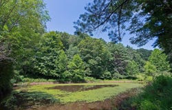 2642 Madam Creek, Hinton, WV 25951