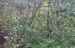 GREENWAY LANE, LURAY, VA 22835