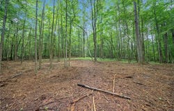14880 Freemanville Road, Milton, GA 30004