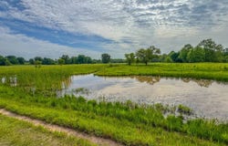 197AC Lester RD, Asher, OK 74826