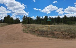 311 HAYSTACK ROAD, Hartsel, CO 80449
