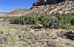 17979 Road G, Cortez, CO 81321