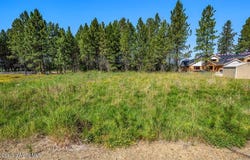 219 BALD EAGLE, Newport, WA 99156