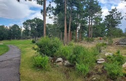 1532 Fox Acres Dr W, Red Feather Lakes, CO 80545