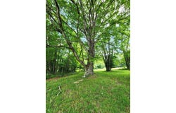143 Moncove Lake Rd., Gap Mills, WV 24941
