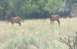 19862 US Highway 84, Hernandez, NM 87537