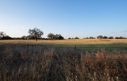 12805 Blackjack Rd., Mason, TX 76842