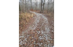 300 Co Rd 191, Waterloo, AL 35677