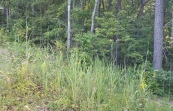 13100 Hwy 174 POPLAR DRIVE, ODENVILLE, AL 35120