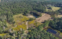 1615 Bob Williams road, Thicket, TX 77374