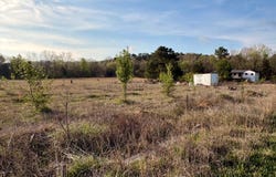 187 Paradise Trail, Pocahontas, AR 72455