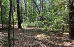 0 Sandy Springs Road, Pelzer, SC 29669