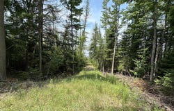 Kelley Dr, Millersburg, MI 49759