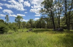 306 Cross Point Road, Edgecomb, ME 04556