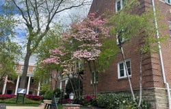 237 W MONTGOMERY AVENUE, HAVERFORD, PA 19041