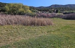 NM 503, Cundiyo, NM 87522