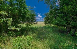 47628 Carmel Achor Road, Rogers, OH 44455