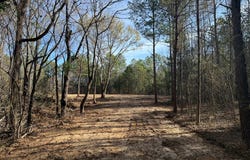 Hwy 336, THAXTON, MS 38871
