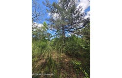 1004 Zone Road, Magnolia, MS 39652