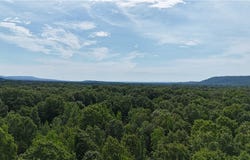 426, Dardanelle, AR 72834