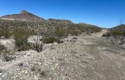 Terlingua, TX 79852
