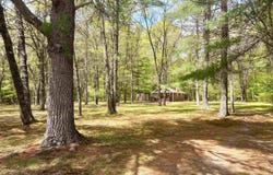 N8784 Bernyce Lane, Willard, WI 54493