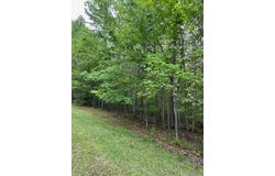 330 Cumberland Cove Rd, MONTEREY, TN 38574