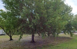 2396 TRITON Terrace, PUNTA GORDA, FL 33983