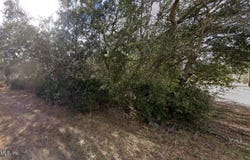DAVID LOT #54 Avenue, Interlachen, FL 32148
