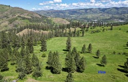 2284 Hill Street, Kamiah, ID 83536