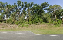 SE 142nd PL & S US HWY 301, Summerfield, FL 34491