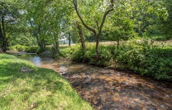 41 Pine Trail, Warne, NC 28909