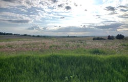 COUNTY RD E, RIPON, WI 54971