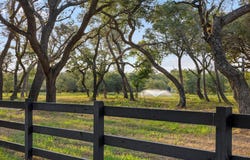 1109 County Road 157, Columbus, TX 78934