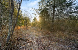 24 Painted Bunting Trail, Smithville, OK 74957