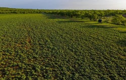 10000 Fm 209, Graham, TX 76450