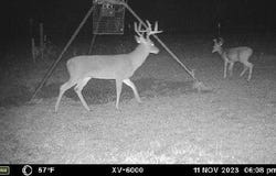 Tbd West Caney Road, Normangee, TX 77871