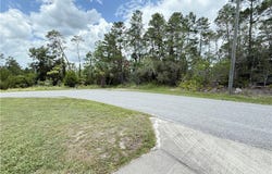 Bahama Swallow Avenue, Weeki Wachee, FL 34613