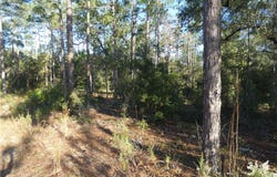 SW 93rd Lane Road lot: 31, Dunnellon, FL 34431