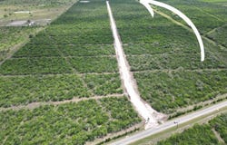 Skidmore, TX 78389