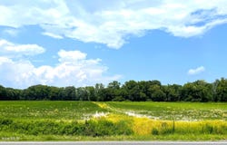 Parcel B Simpson Ditch Rd, Elizabeth City, NC 27909