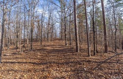 0 County Road 426, Ellington, MO 63638