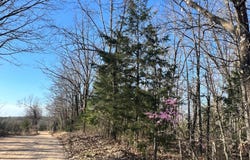 120 Ac County Road 547, Tecumseh, MO 65760