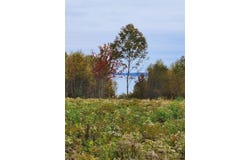Lot 52 US- Route 1, Robbinston, ME 04668