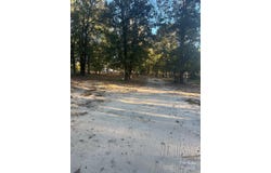 1814 Landfill Road, Mt Croghan, SC 29727